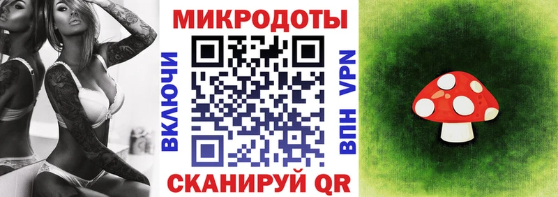Псилоцибиновые грибы Cubensis Боровичи